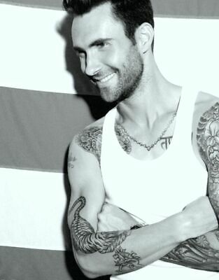 Adam Levine - Maroon 5 8x10 Glossy Photo Picture
