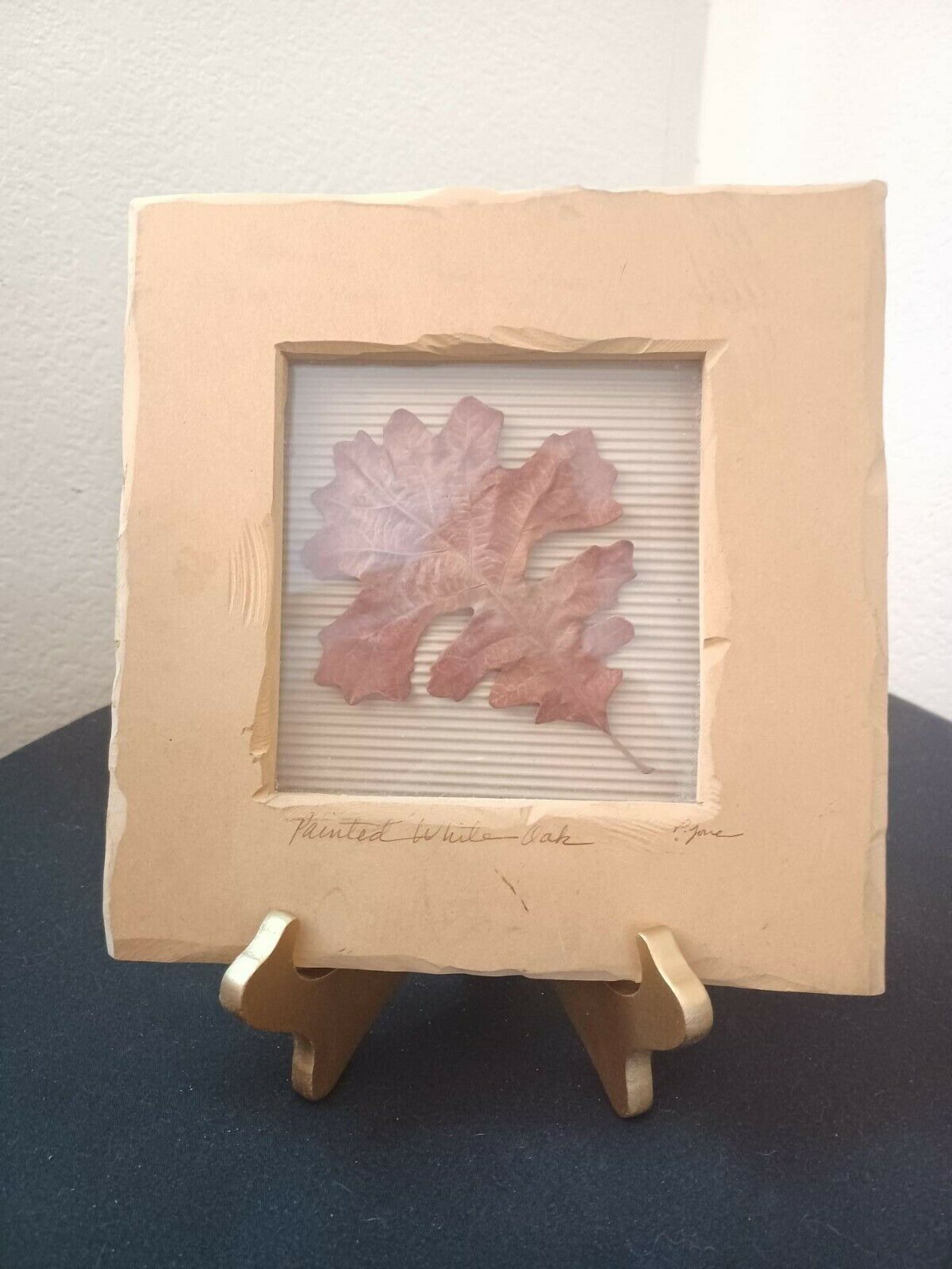 Framed Oak Leaf Pressed Botanical Art Work Signed By Artist